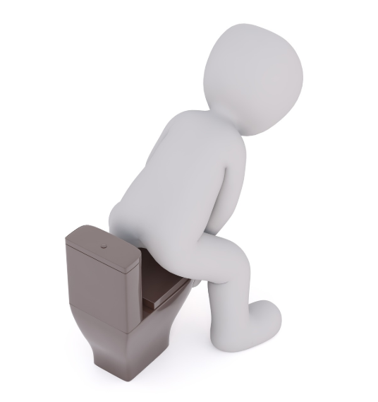 임신 중 변비&middot;소화불량&middot;설사 생활습관