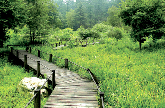 유명산자연휴양림