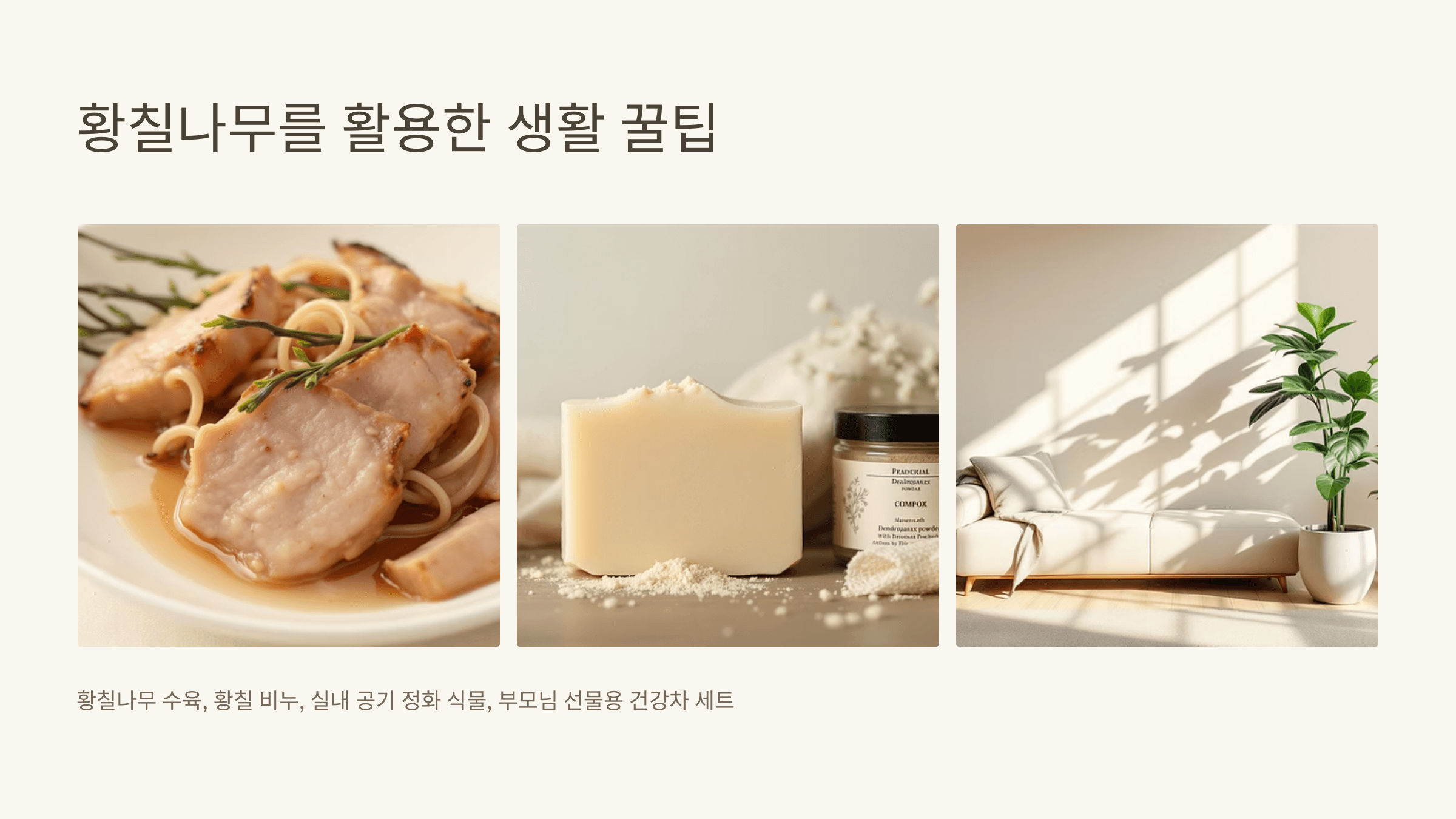 황칠나무 사진입니다.