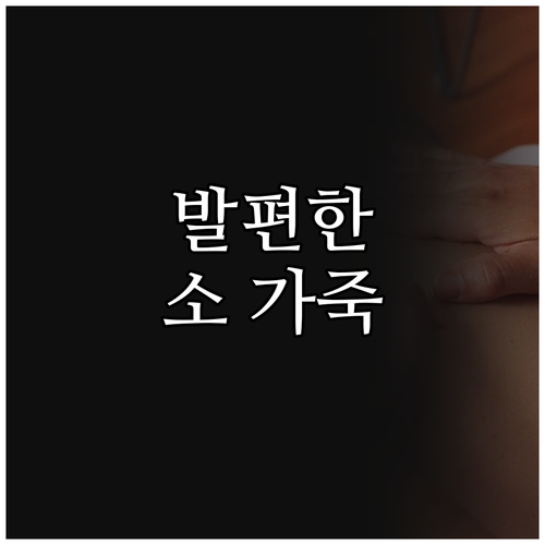 발편한 소가죽 플랫 운동화 추천! 발..