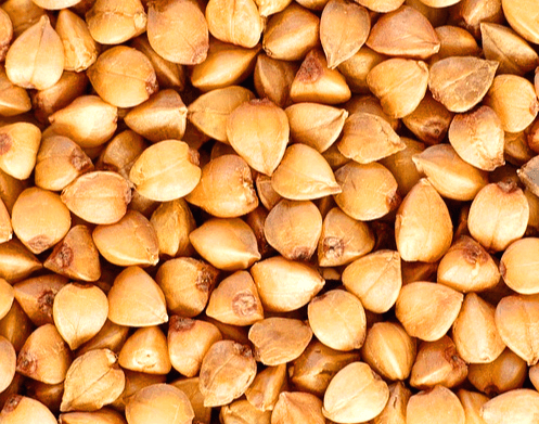 연갈색의 메밀들이 한가득 쌓여있다. 마름모꼴 모양이다.