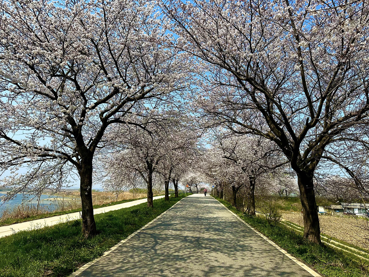 익산 아파트 단지별 상세 분석 — ‘어느 단지에 사느냐’가 익산 생활의 질을 결정한다
