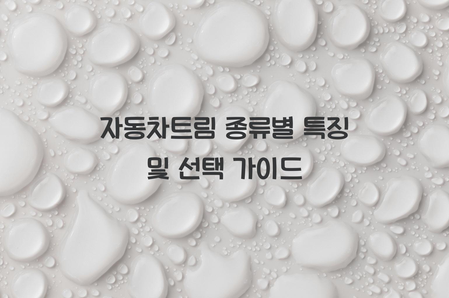 자동차트림