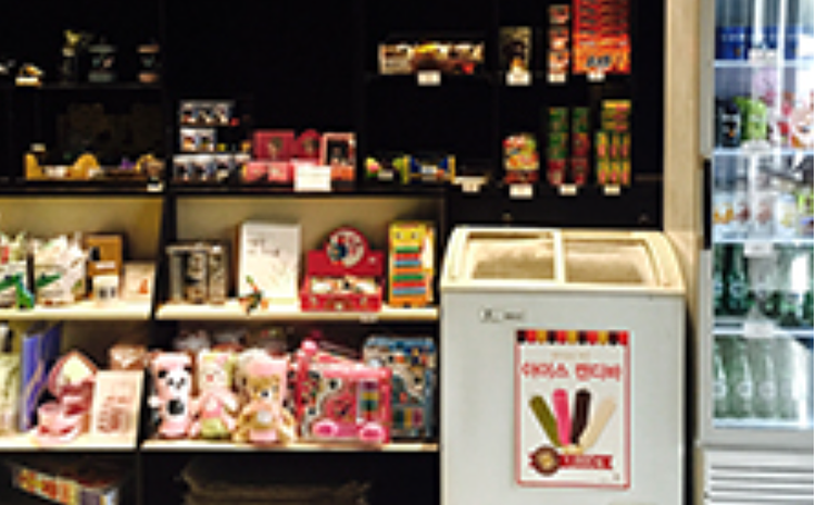 프라움 악기박물관