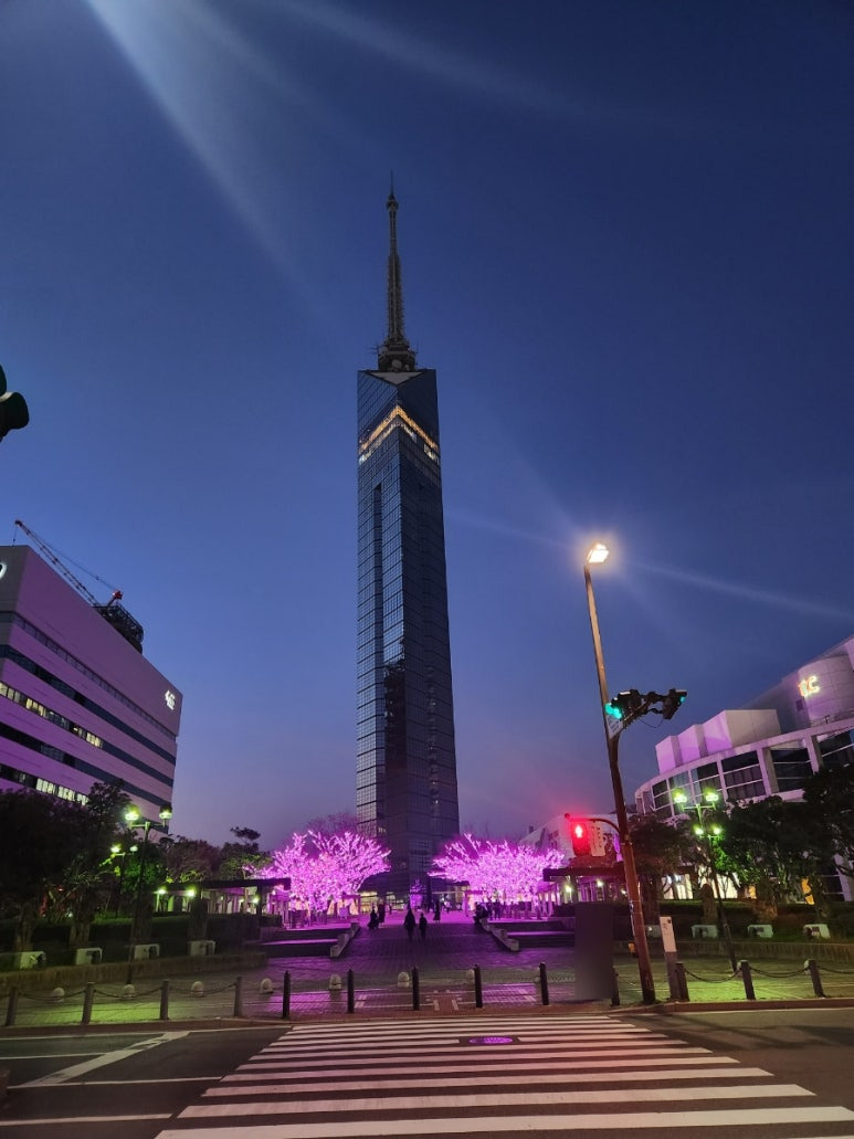 에어로케이 항공권 예약 방법과 유의사항