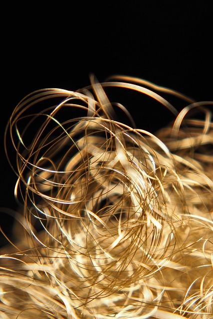 국내 주요 금 ETF 종류