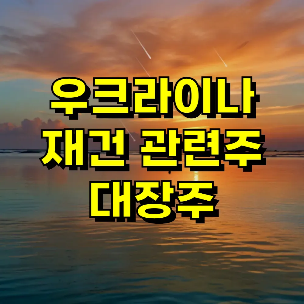 우크라이나 재건 관련주 대장주
