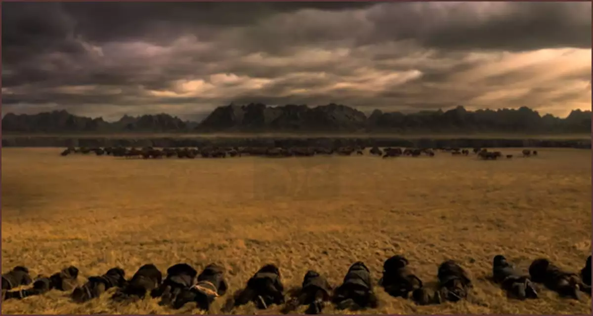 들소 사냥 작전