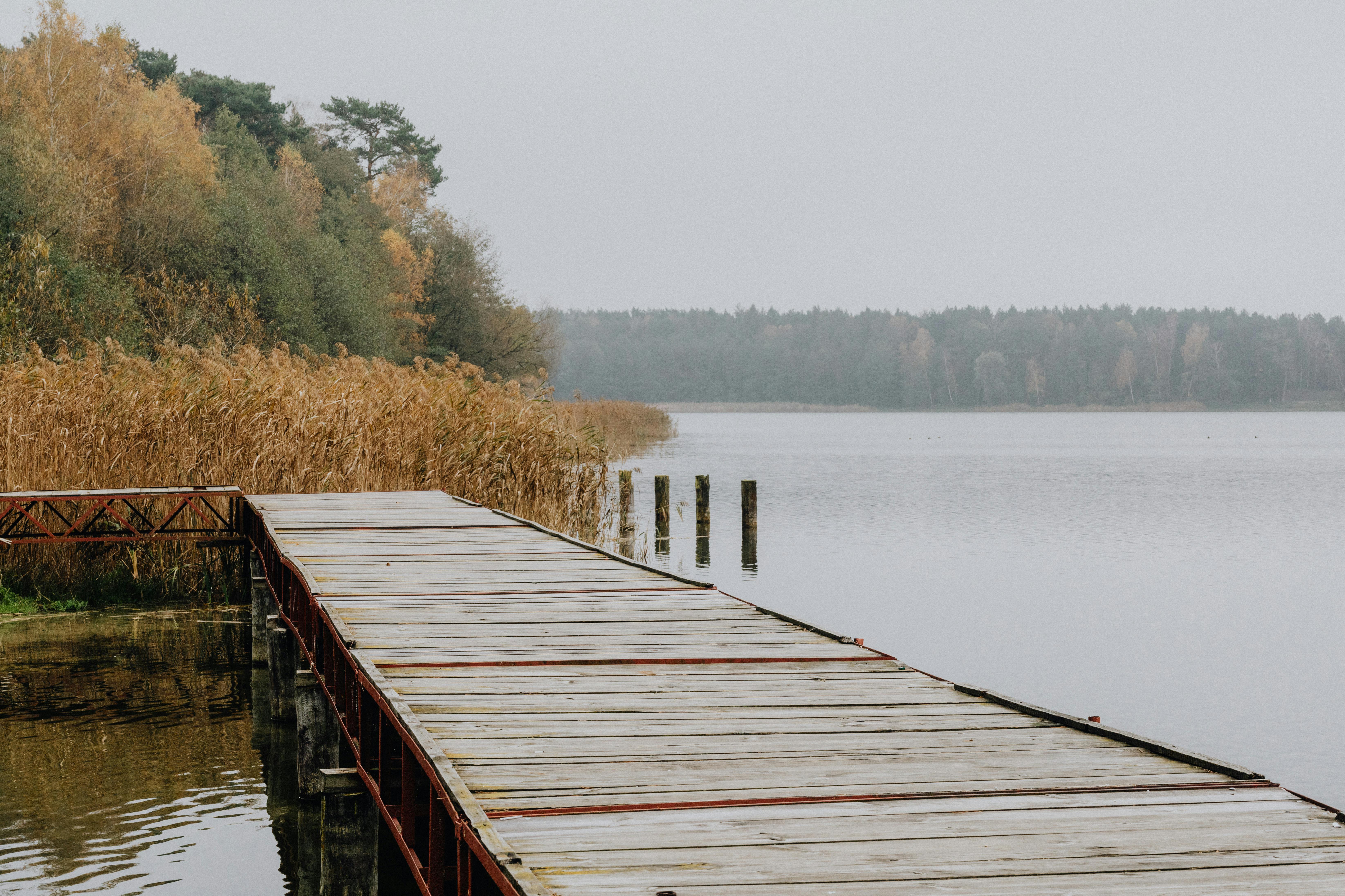 로컬의 숨겨진 명소 탐방기: 대만의 몽환적인 핑크빛 호수 - 카오메이 습지(高美濕地)