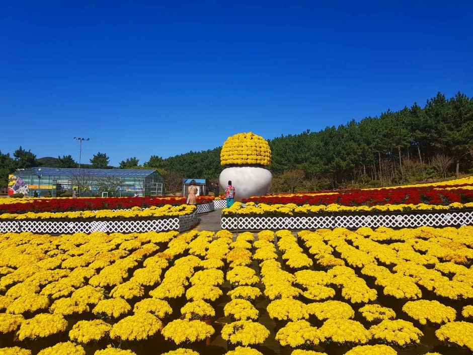 10월 지역 축제 충남 충북 가을 축제 정보