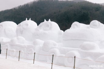 청양 알프스마을 얼음분수축제에서 뽀뽀로 캐릭터 눈