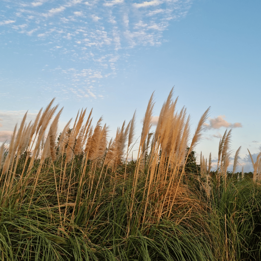 바람 따라&amp;#44; 마음 따라 친구들과 떠나는 감성 드라이브