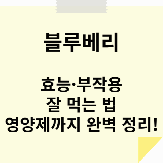 블루베리, 눈에만 좋은 줄 아셨나요? 효능&middot;부작용&middot;잘 먹는 법&middot;영양제까지 완벽 정리!