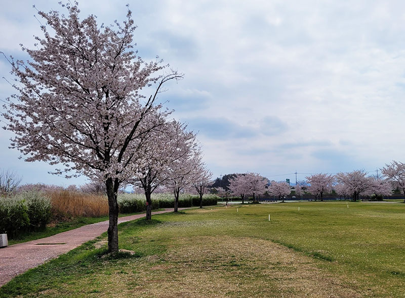 경상남도 칠서 강나루파크골프장 소개