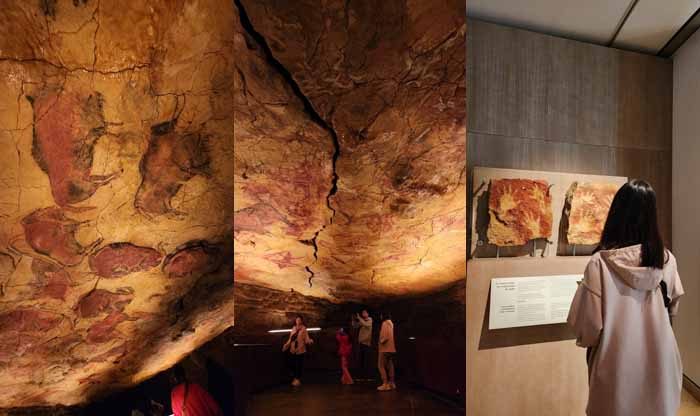 알타미라 동굴의 붉은 황소와 황홀한 구석기 시대 미술관 체험