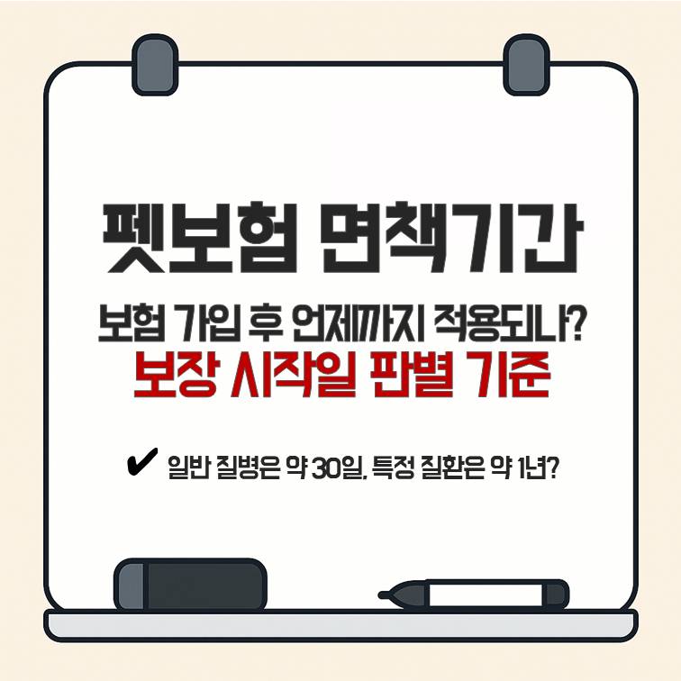펫보험 면책기간 적용 기간과 보장 시작일을 어떻게 판별하는지 정리한 안내 이미지