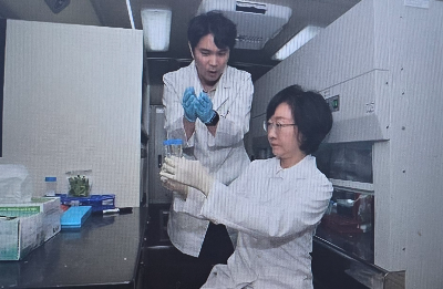 노로바이러스 증상 잠복기 원인 전염 15