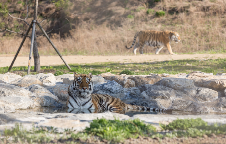 백두대간 수목원