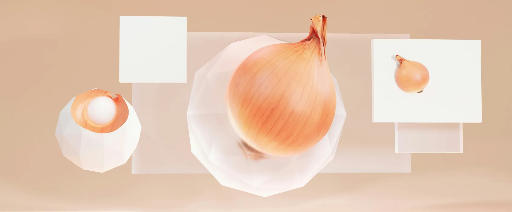양파-사진