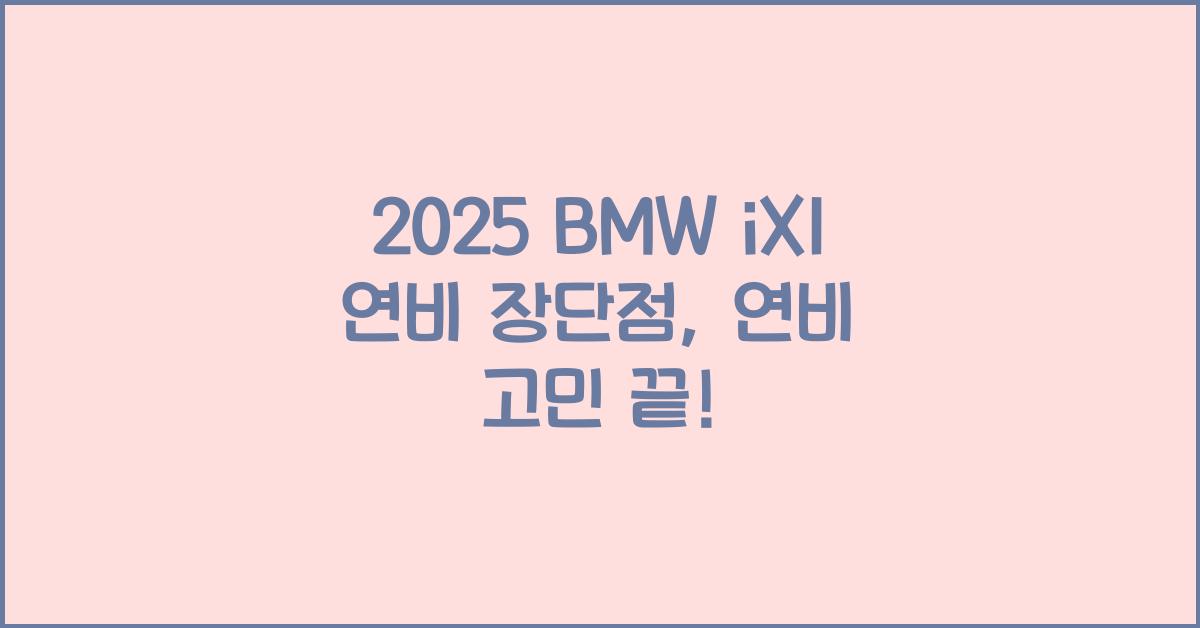 2025 BMW iX1 연비 장단점