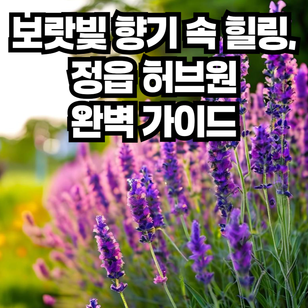 정읍 허브원 입장료부터 맛집&middot;카페&middot;가는길까지 완벽 정리