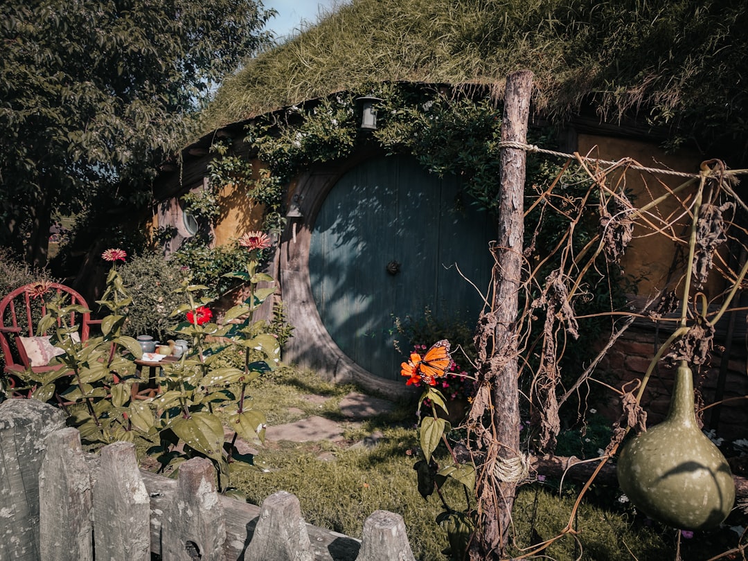 Fantasy