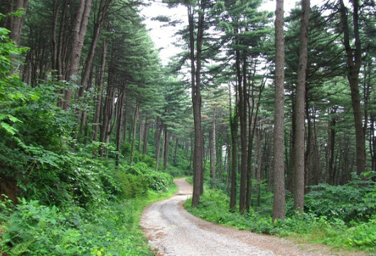 가평 가볼만한곳 베스트10