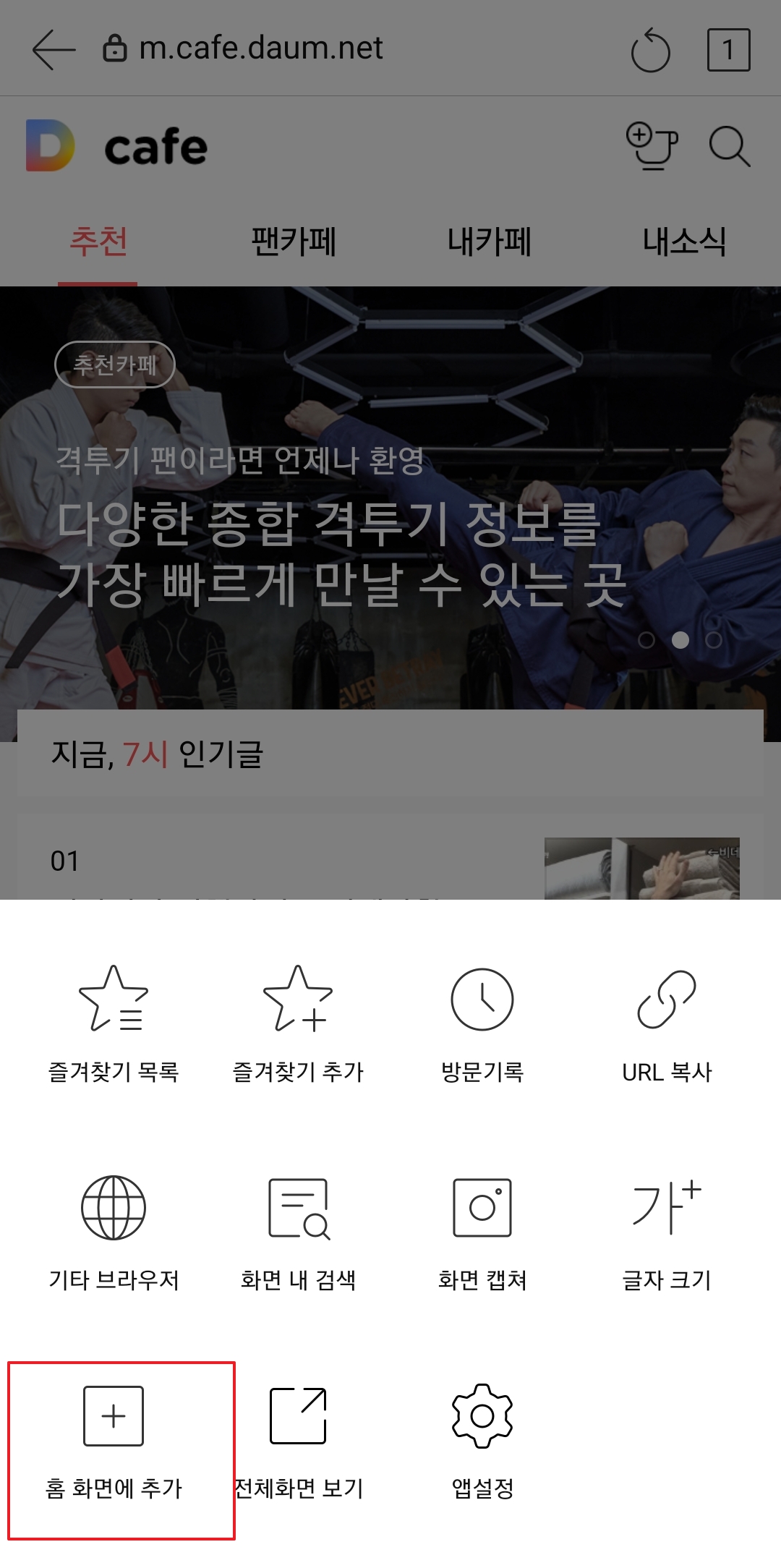 옵션 메뉴에서 홈 화면에 추가 항목을 선택하는 모습