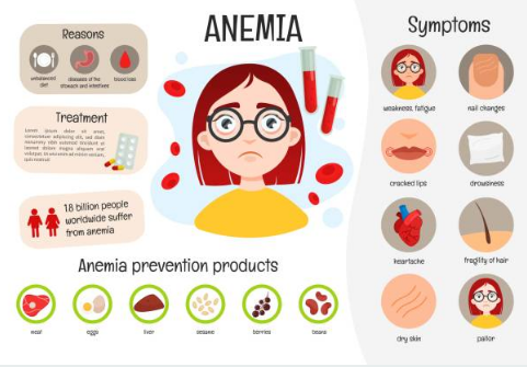 빈혈에 좋은 음식