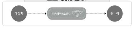 2024 암진단 사업 지원내용