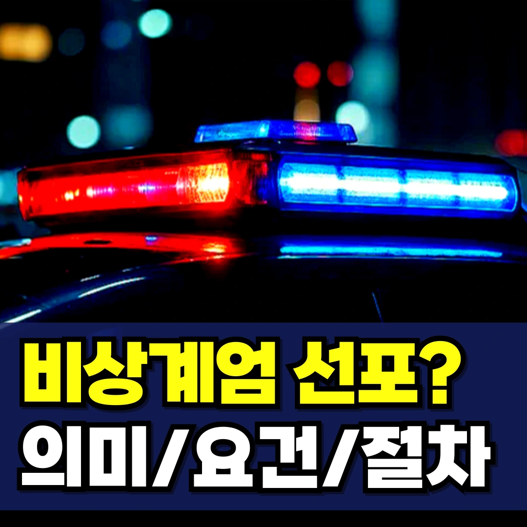 비상계엄-선포-의미-요건-해제-절차