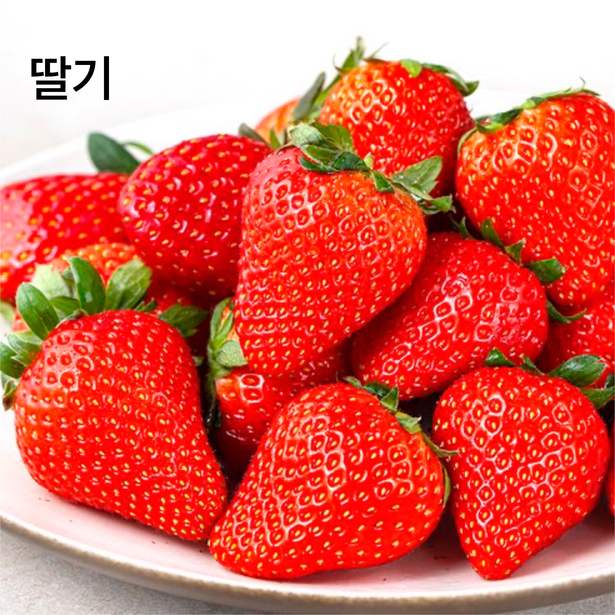 2월 제철 재료 딸기