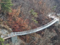 철원 한탄강 은하수교 횃불전망대 입장료