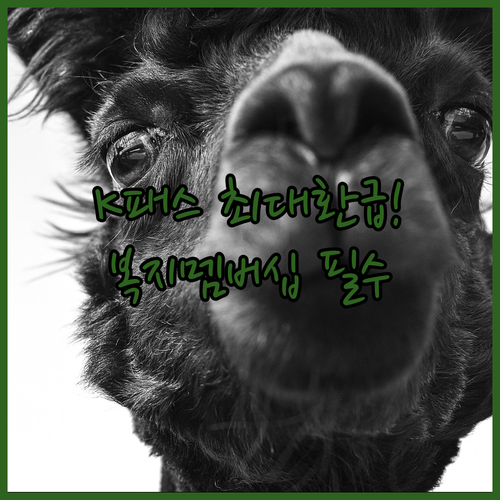 K패스 저소득층 환급 혜택 및 복지멤..