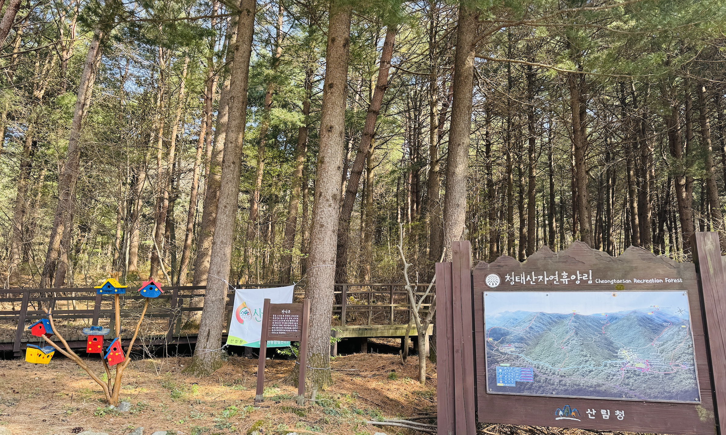 청태산 자연휴양림