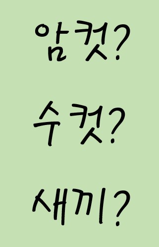 동물의 암컷, 수컷, 새끼를 가리키는 영어 단어들