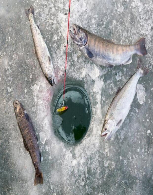 2025 화천 산천어축제&amp;#44; 현장접수 얼음낚시