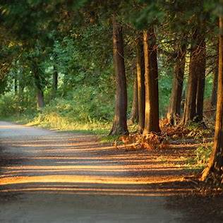 의사들이 말하는 걷기의 건강 효과와 하루 최소 적정 시간