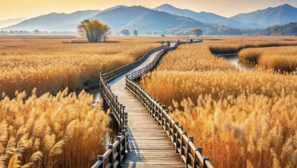 순천만
