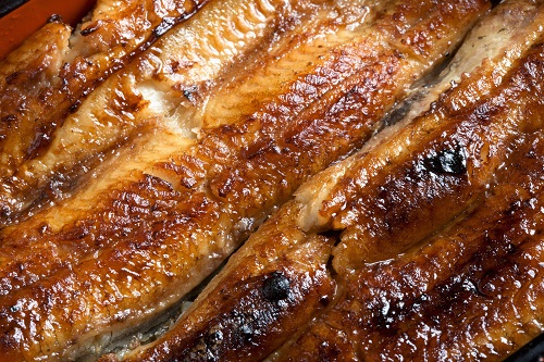 2024년 초복 중복 말복에 먹으면 좋은 음식