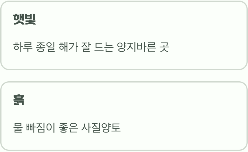 여왕님을 위한 최고의 자리 (햇빛과 흙)