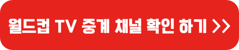 월드컵-TV-중계-채널-링크-버튼