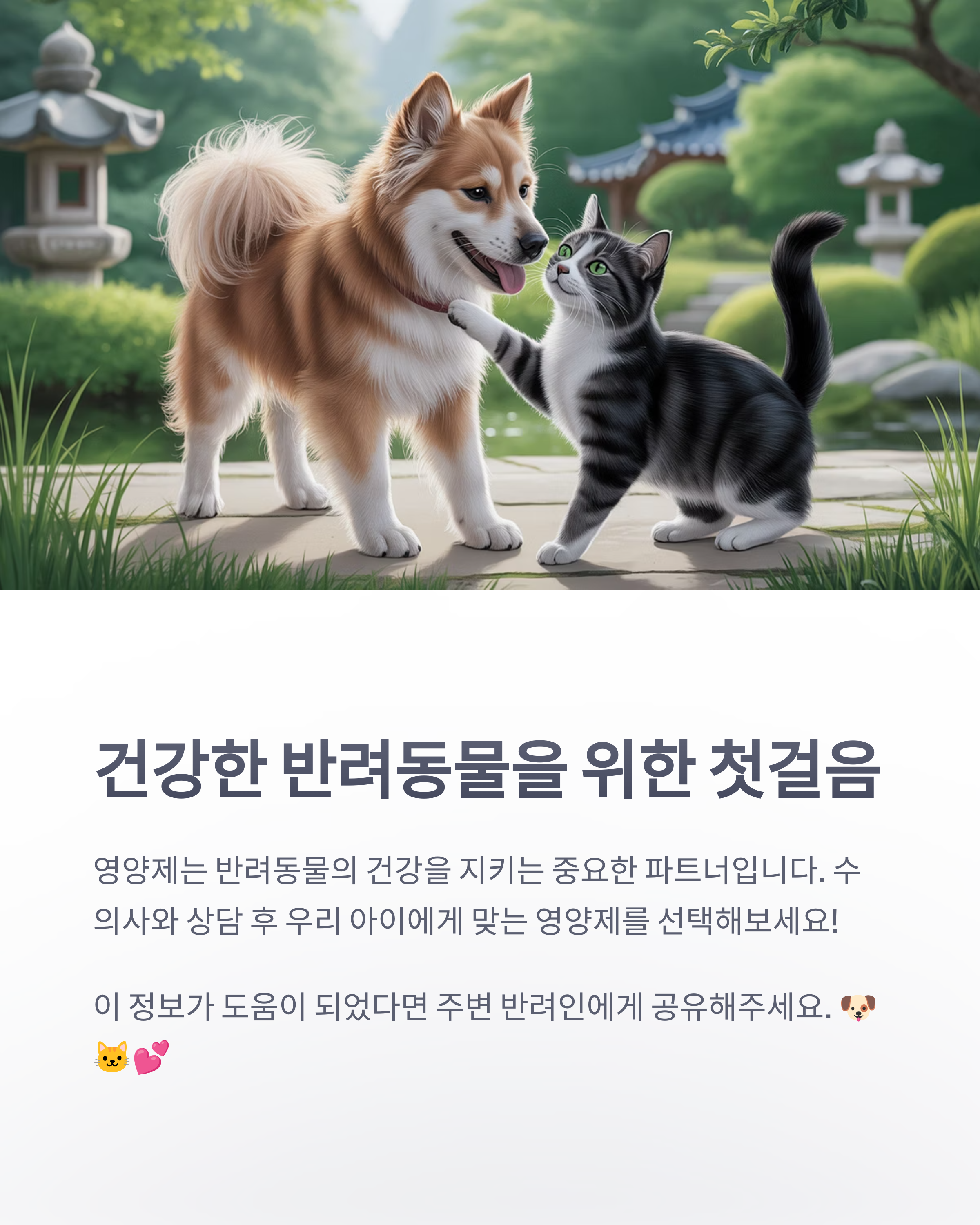 참조-반려동물-영양제-6