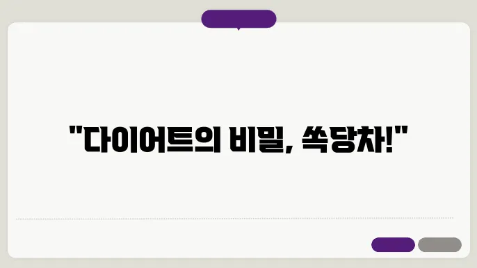 쏙당차 및 다이어트 팁