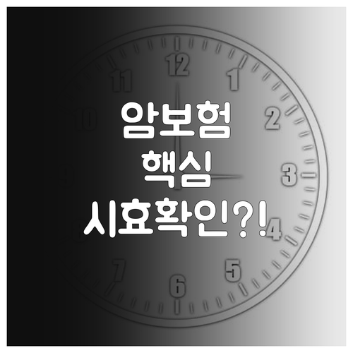 암보험금 소멸시효 기산점 진단 확정일..