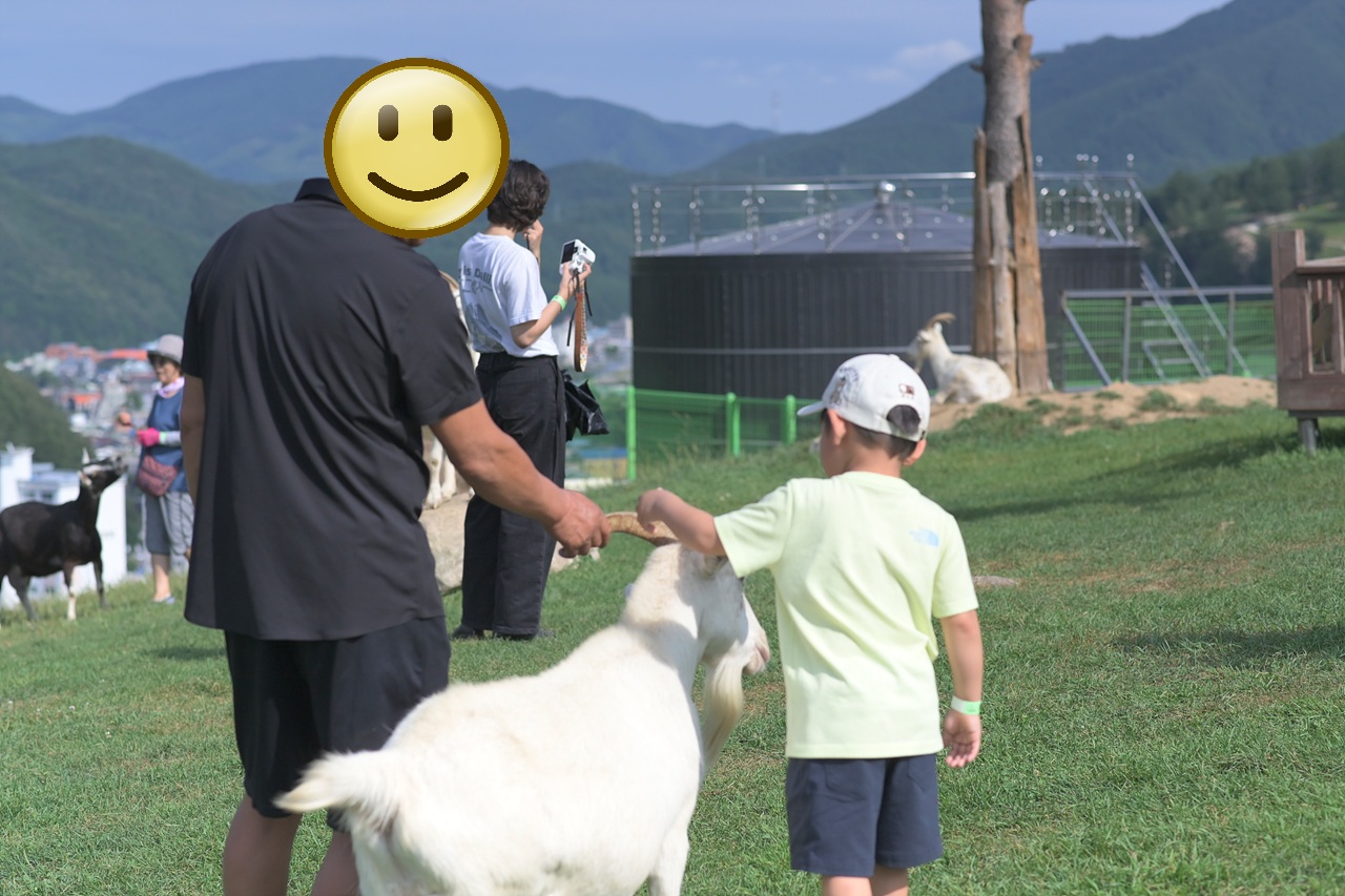 동물교감2