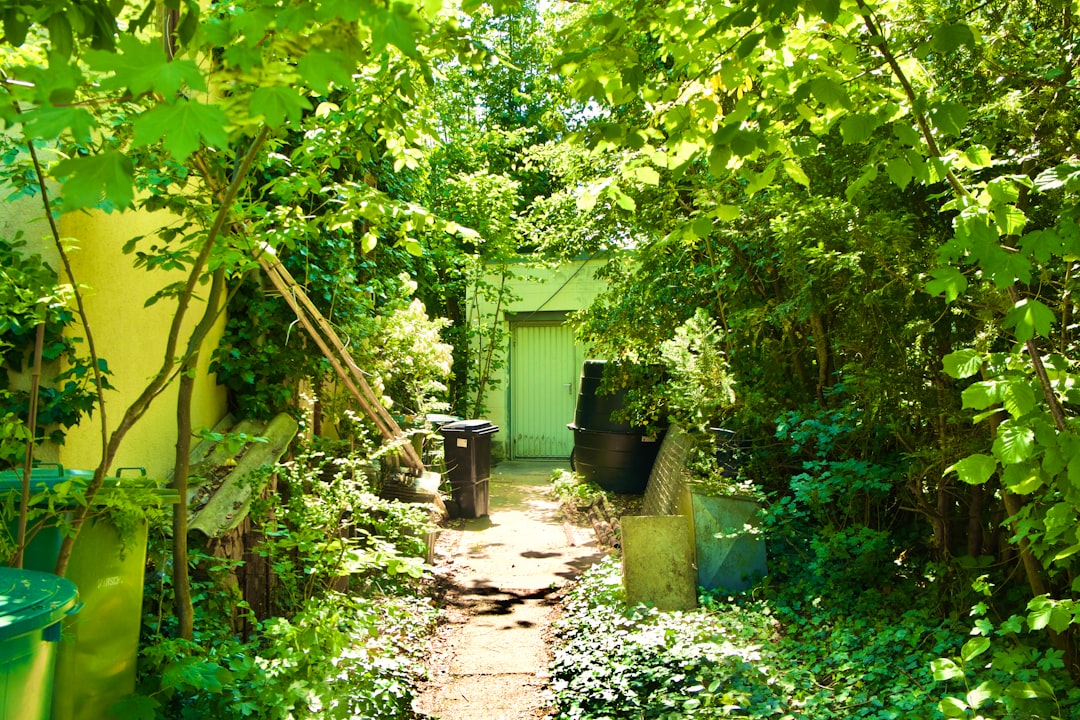 Secret Garden