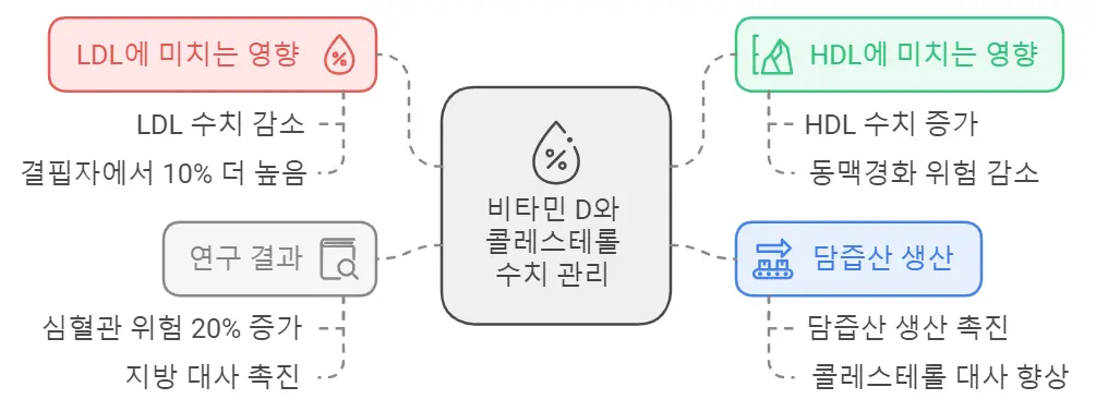 비타민D효능