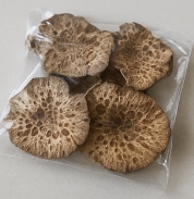 능이버섯 보관방법