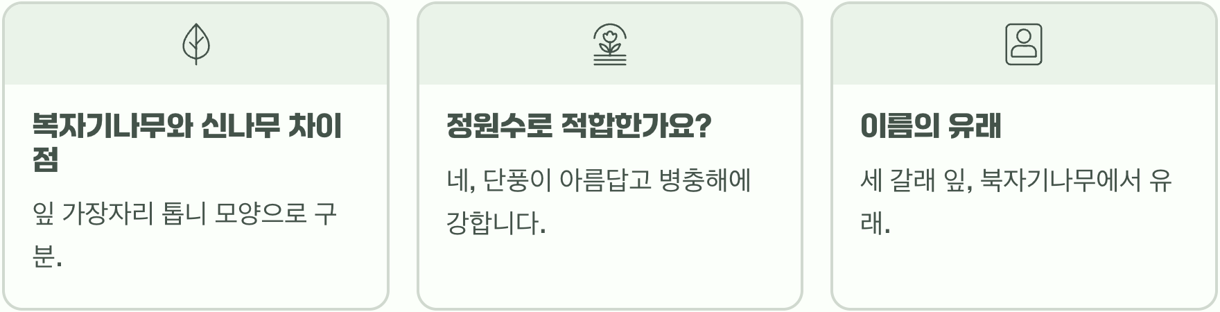 한눈에 알아보는 복자기나무의 모든 것 (잎, 껍질, 꽃, 열매)